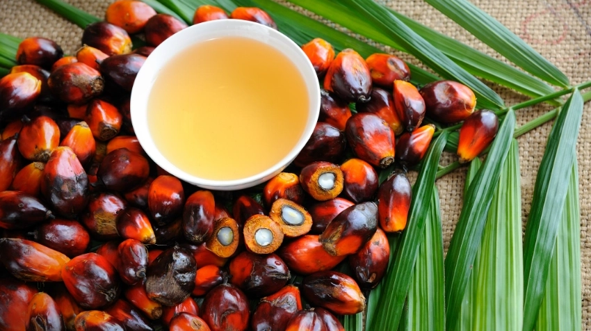 Intelligent Monitoring of Palm Oil Production Using IAT NIR Analysts